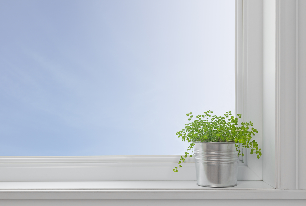 window-replacement